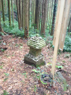 image-20111113194036.png